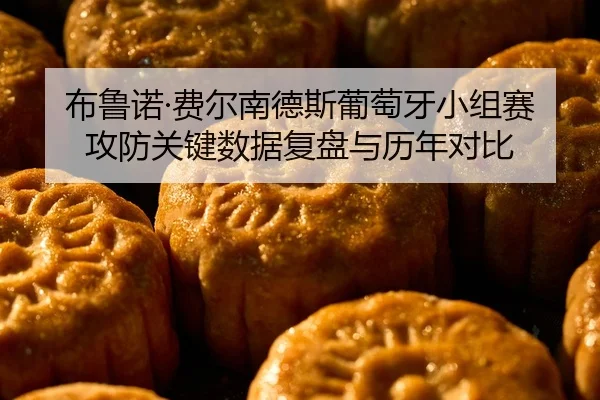 布鲁诺·费尔南德斯葡萄牙小组赛攻防关键数据复盘与历年对比